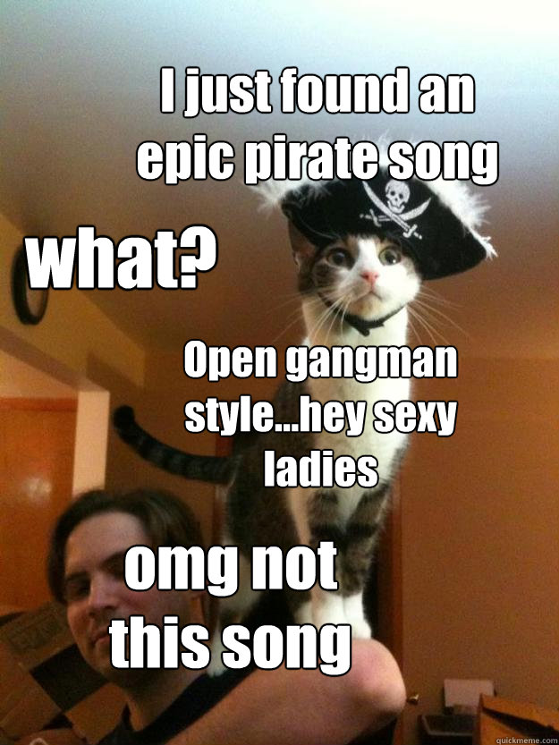 I just found an epic pirate song what? Open gangman style...hey sexy ladies omg not this song  