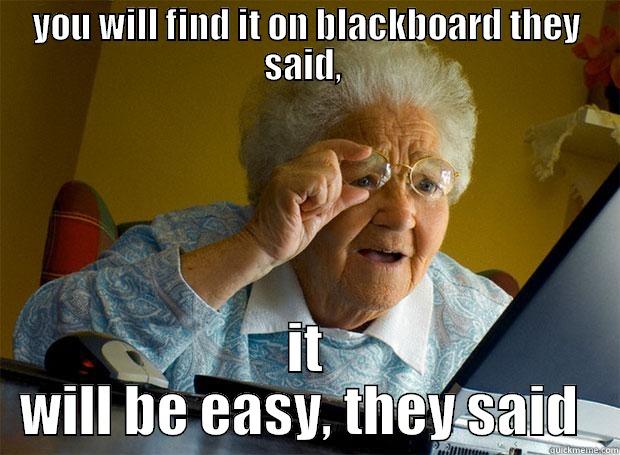 YOU WILL FIND IT ON BLACKBOARD THEY SAID,  IT WILL BE EASY, THEY SAID  Grandma finds the Internet