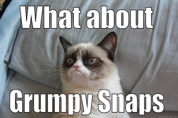 Grumpy Snaps - WHAT ABOUT GRUMPY SNAPS Grumpy Cat