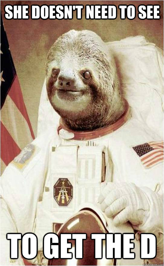 She doesn't need to see To get the D  Astronaut Rape Sloth