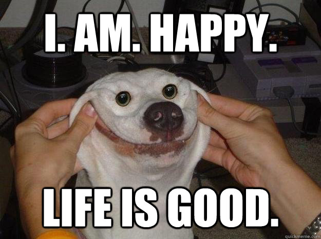 i. am. happy. life is good. - i. am. happy. life is good.  Misc