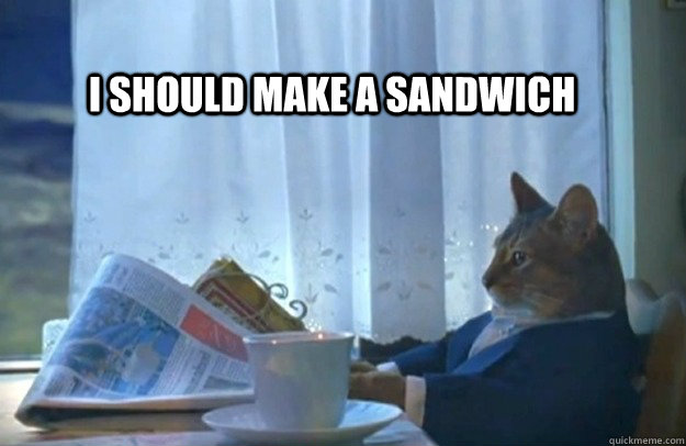 I should make a sandwich   Sophisticated Cat