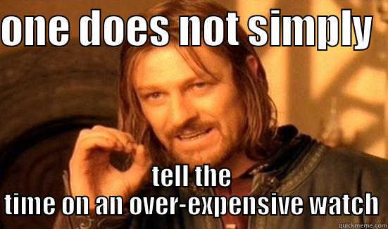 ONE DOES NOT SIMPLY   TELL THE TIME ON AN OVER-EXPENSIVE WATCH Boromir