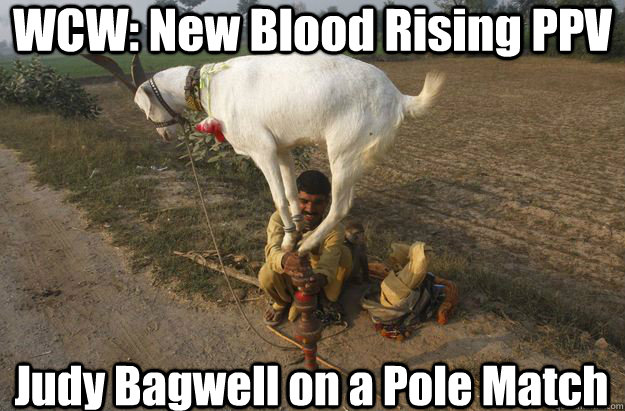 WCW: New Blood Rising PPV Judy Bagwell on a Pole Match - WCW: New Blood Rising PPV Judy Bagwell on a Pole Match  Judy Bagwell on a Pole Match