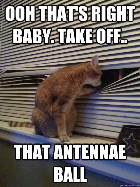 Ooh that's right baby. Take off.. That antennae ball   Peeping Tomcat