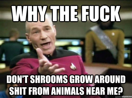 Why the fuck don't shrooms grow around shit from animals near me?  Annoyed Picard HD