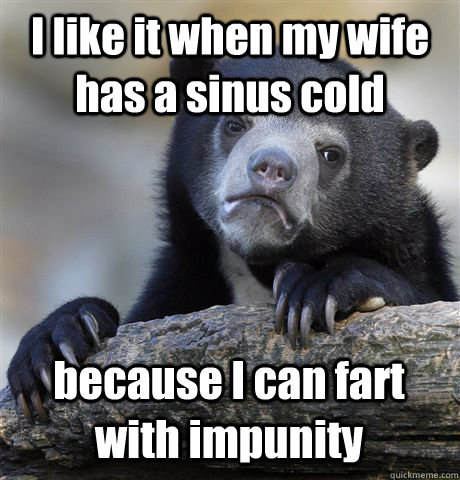 I like it when my wife has a sinus cold because I can fart with impunity  Confession Bear