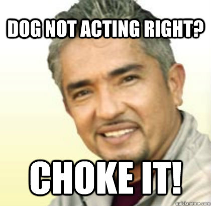 Dog not acting right? Choke it!  Cesar Millan