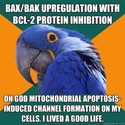 BAX/BAK Upregulation with BCL-2 protein inhibition OH GOD Mitochondrial apoptosis-induced channel formation on my cells. I lived a good life.  Paranoid Parrot