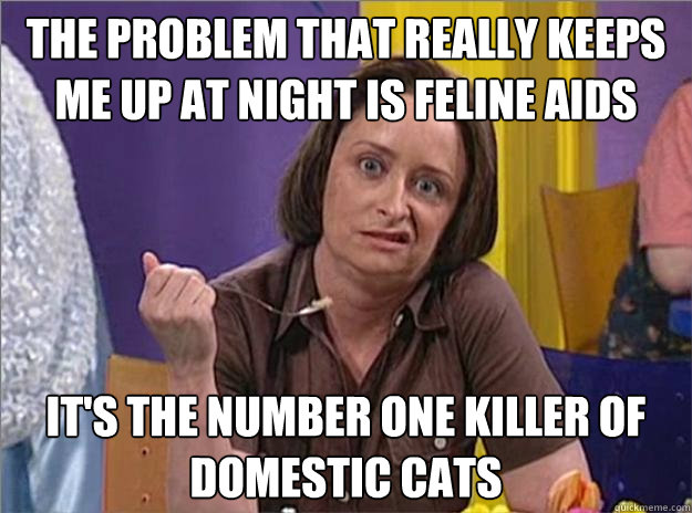 The problem that really keeps me up at night is feline AIDS It's the number one killer of domestic cats - The problem that really keeps me up at night is feline AIDS It's the number one killer of domestic cats  Debbie Downer