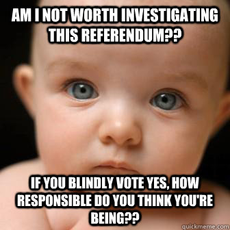 am i not worth investigating this referendum?? If you blindly vote yes, how responsible do you think you're being??  Serious Baby