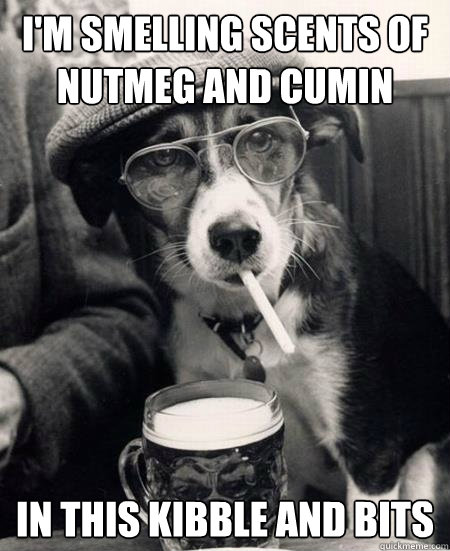 I'm smelling scents of nutmeg and cumin in this kibble and bits   Hipster Dog