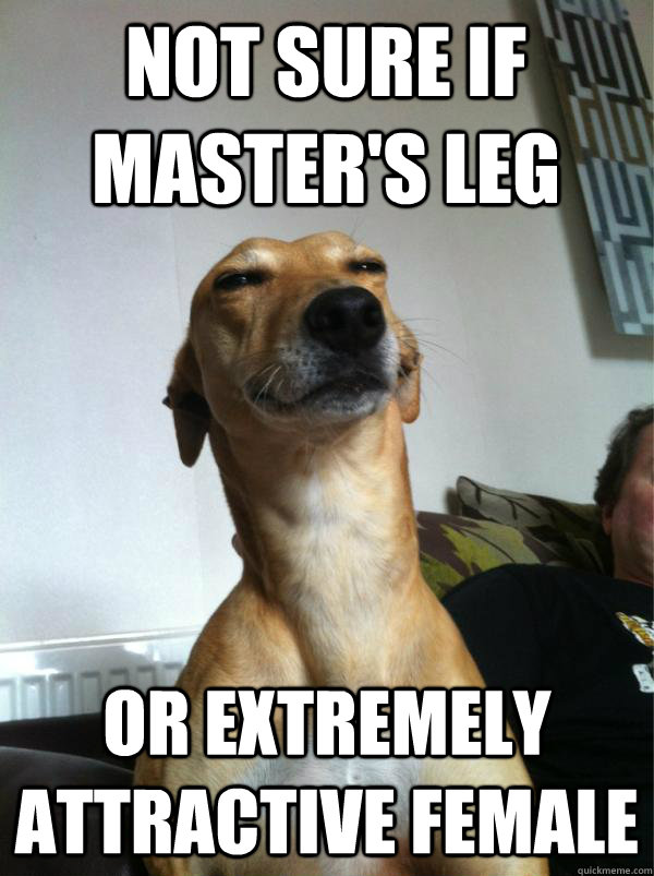 Not sure if master's leg or extremely attractive female  