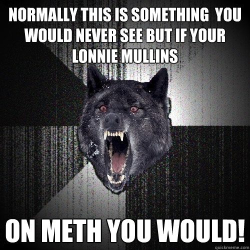 Normally this is something  you would never see but if your Lonnie mullins ON METH YOU WOULD!  Insanity Wolf