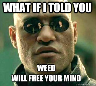 what if i told you weed
will free your mind  Matrix Morpheus