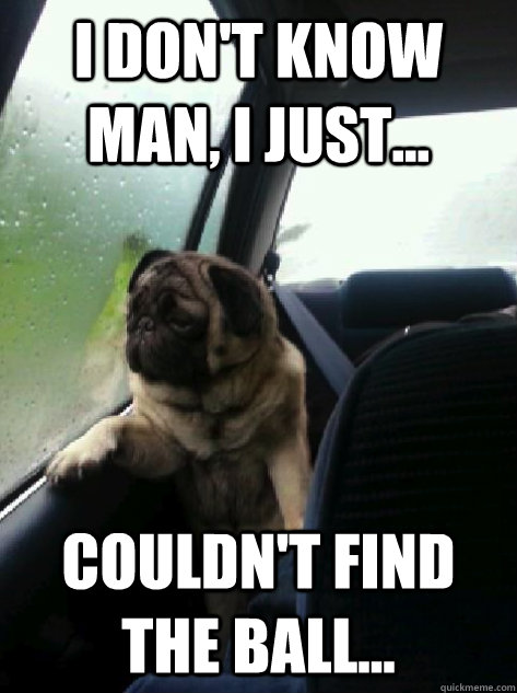 I don't know man, I just... couldn't find the ball... - I don't know man, I just... couldn't find the ball...  Introspective Pug