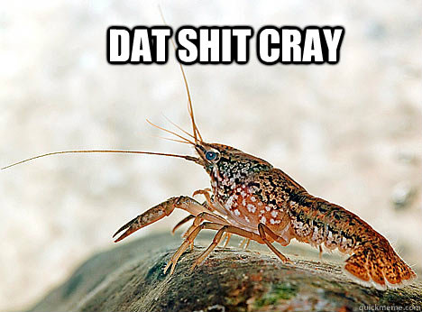 Dat shit cray  crayfish
