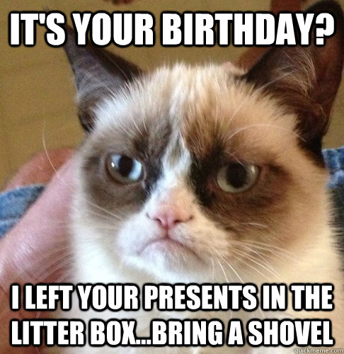 It's your birthday? I left your presents in the litter box...bring a shovel  