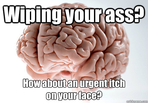 Wiping your ass? How about an urgent itch 
on your face?   Scumbag Brain
