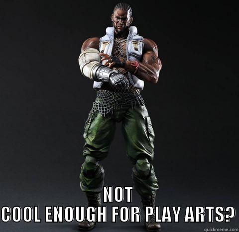  NOT COOL ENOUGH FOR PLAY ARTS? Misc