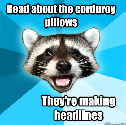 Read about the corduroy pillows They're making headlines  Lame Pun Coon