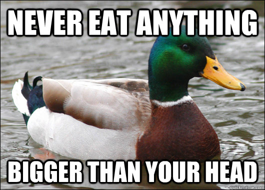 Never eat anything Bigger than your head - Never eat anything Bigger than your head  Actual Advice Mallard