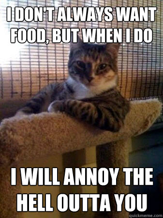 I don't always want food, but when I do I will annoy the hell outta you  The Most Interesting Cat in the World