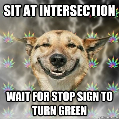 Sit at intersection wait for stop sign to turn green  Stoner Dog