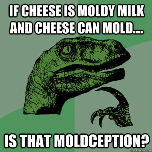 If cheese is moldy milk and cheese can mold.... Is that Moldception? - If cheese is moldy milk and cheese can mold.... Is that Moldception?  Philosoraptor