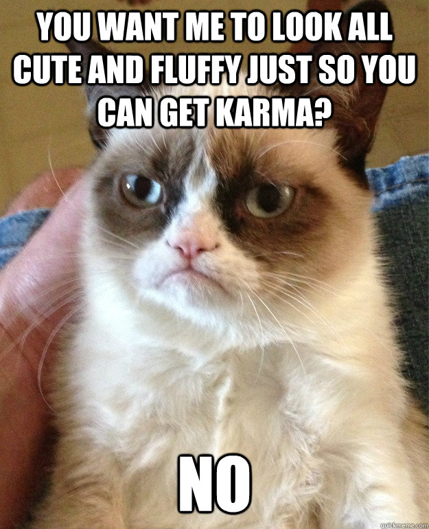 You want me to look all cute and fluffy just so you can get karma? No - You want me to look all cute and fluffy just so you can get karma? No  grump