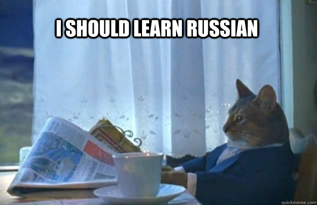 I should learn Russian  Sophisticated Cat