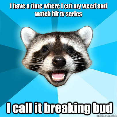 I have a time where I cut my weed and watch hit tv series  I call it breaking bud  Lame Pun Coon