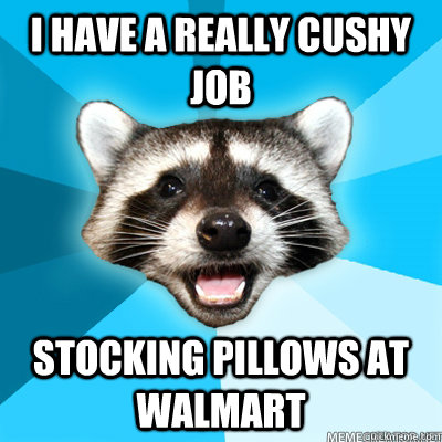 I have a really cushy job stocking pillows at walmart  Lame Pun Raccoon