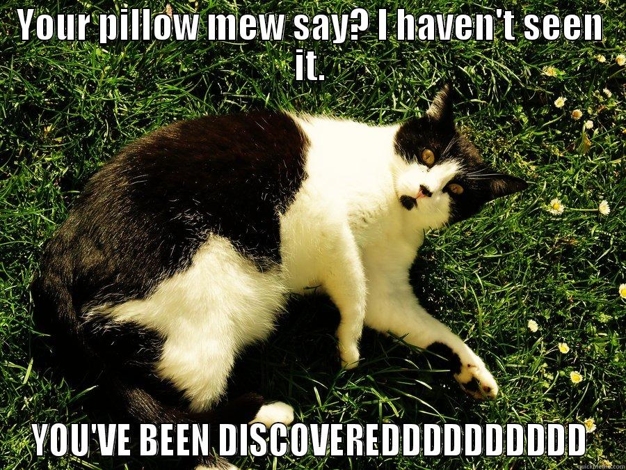 YOUR PILLOW MEW SAY? I HAVEN'T SEEN IT. YOU'VE BEEN DISCOVEREDDDDDDDDDD Success Kid