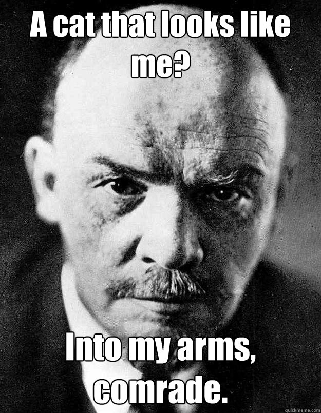 A cat that looks like me? Into my arms, comrade. - A cat that looks like me? Into my arms, comrade.  Lenin