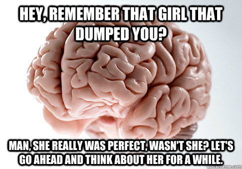 hey, remember that girl that dumped you?  Man, she really was perfect, wasn't she? Let's go ahead and think about her for a while.  Scumbag Brain