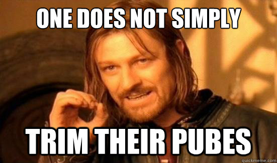 One Does Not Simply trim their pubes  Boromir