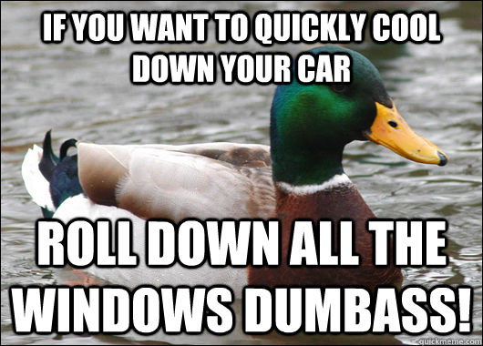If you want to quickly cool down your car ROLL DOWN ALL THE WINDOWS DUMBASS!  Actual Advice Mallard