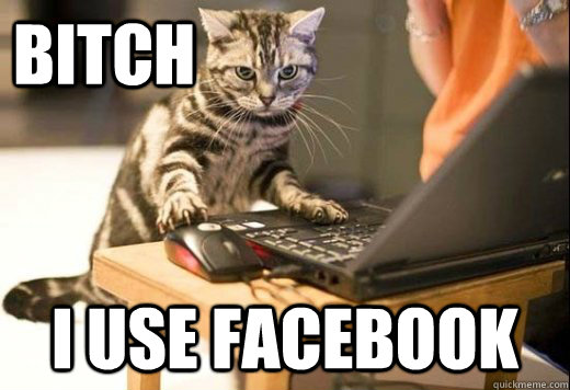 Bitch I use facebook - Bitch I use facebook  Angry Computer Cat