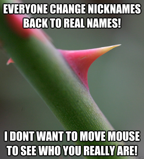 Everyone Change Nicknames Back to Real Names! I dont want to move mouse to see who you really are!  Self Important Prick