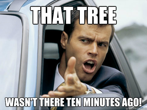 That tree wasn't there ten minutes ago!  Asshole driver