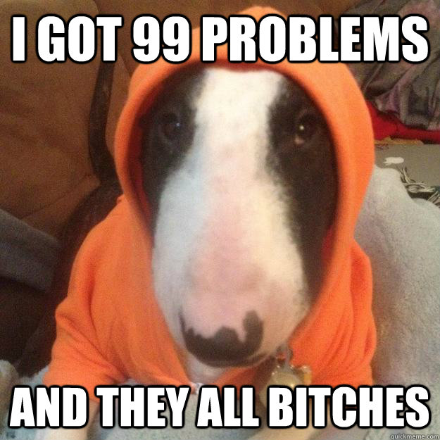 I got 99 problems And they all bitches - I got 99 problems And they all bitches  Hood Dog