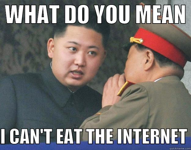 Can't eat the internet? -  WHAT DO YOU MEAN   I CAN'T EAT THE INTERNET Hungry Kim Jong Un