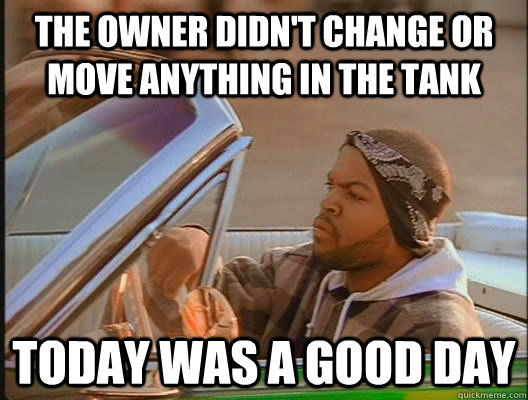 the owner didn't change or move anything in the tank Today was a good day  today was a good day