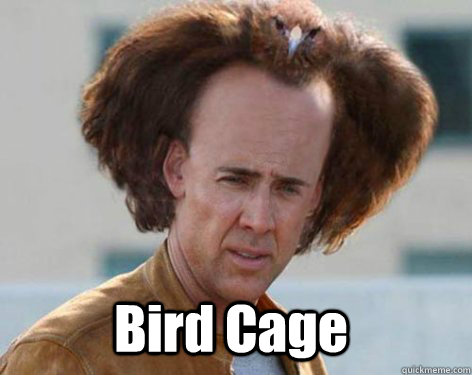  Bird Cage  Crazy Nicolas Cage