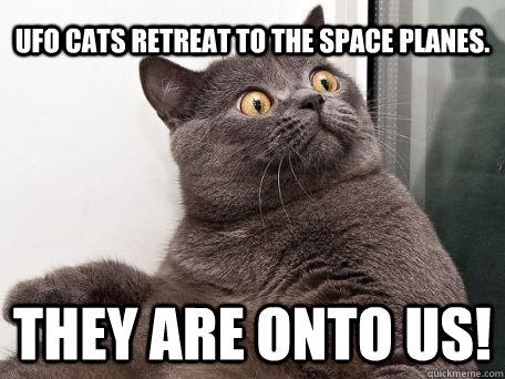 UFO Cats Retreat to the space planes. They are onto us! - UFO Cats Retreat to the space planes. They are onto us!  conspiracy cat