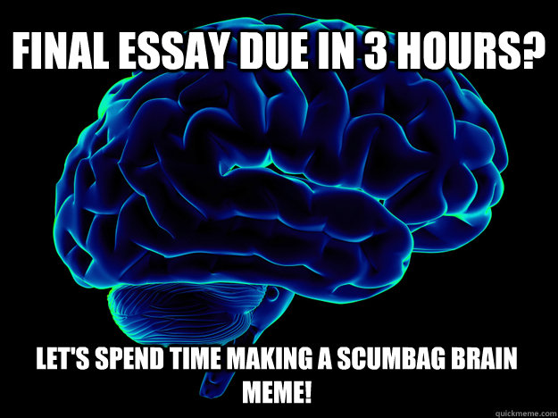 Final essay due in 3 hours? Let's spend time making a scumbag brain meme!  