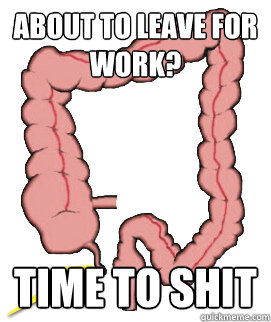 About to leave for work? Time to shit  Scumbag Bowels