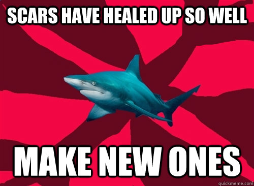 scars have healed up so well make new ones - scars have healed up so well make new ones  Self-Injury Shark