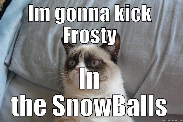 IM GONNA KICK FROSTY IN THE SNOWBALLS Grumpy Cat